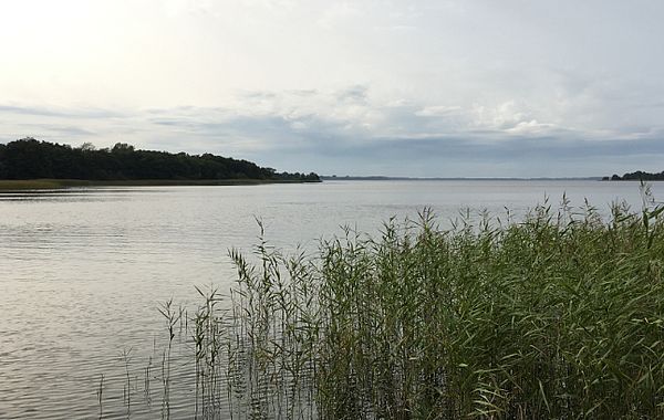 Idyllischer Binnensee: der Selenter See in Schleswig-Holstein