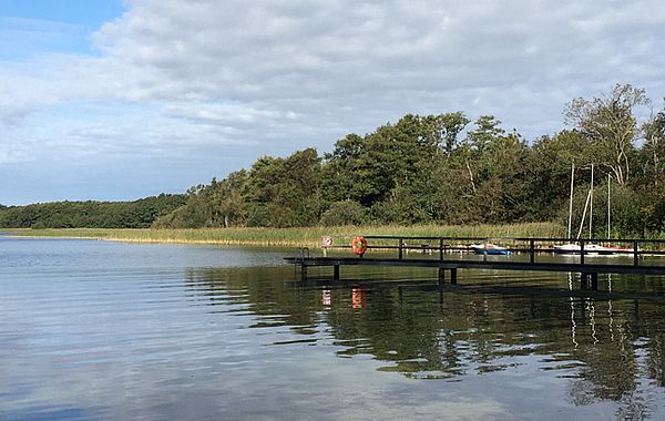 Der Selenter See ist der zweitgrößte See in Schleswig-Holstein und ist bekannt für seinen Fischreichtum