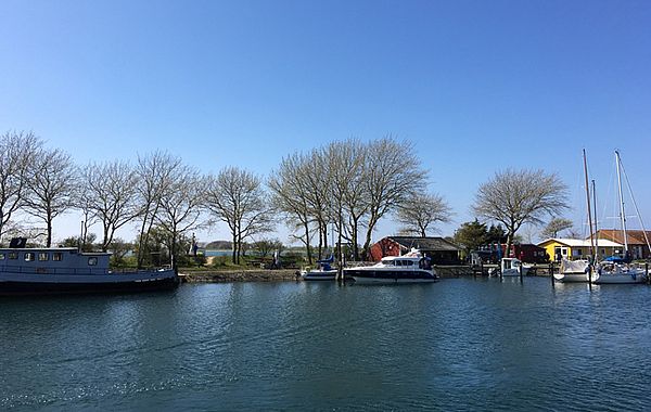 Hafen Orth - Blick auf Boote im Hafen