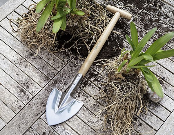 Gutes Gartenwerkzeug hat einen Werkzeugkopf aus Stahl und einen Holzstiel
