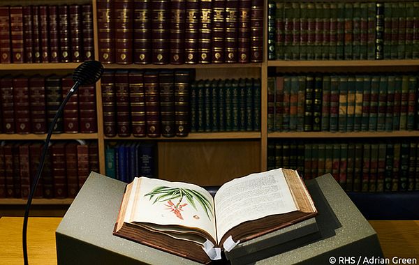 Leseraum in der Lindley Library mit Manuskript