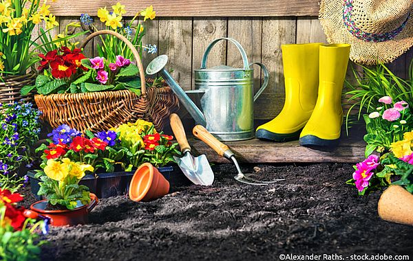 Arbeiten im Frühlingsgarten Verschiedene Frühlingspflanzen, Gartenwerkzeug und gelbe Gummistiefel