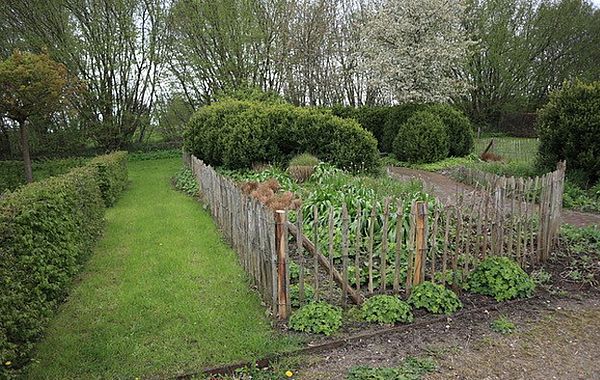 Small Gardens Beet