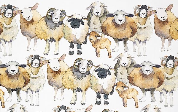 Emma Ball Design Sheep Schafe der englischen Countryside - Designmotiv von Emma Ball