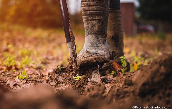 Damit die Pflanzenwurzeln Nährstoffe & Wasser aufnehmen können muss der Boden im Frühjahr gelockert werden. Nahaufnahme Gummistiefel und Spaten zur Lockerung des Bodens