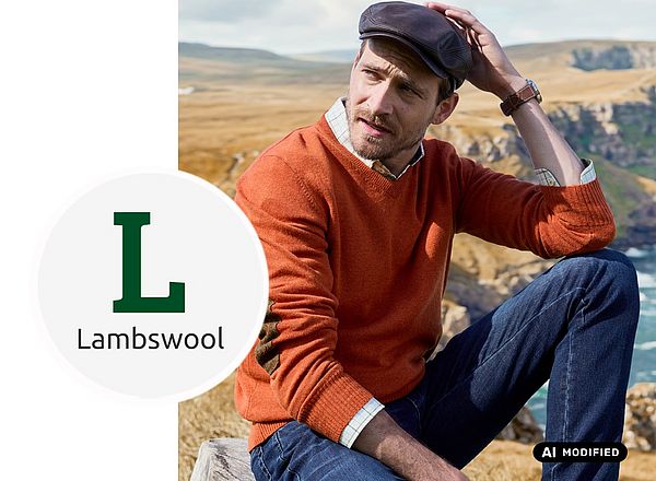 Lambswool-Pullover Herrenpullover aus Lammwolle