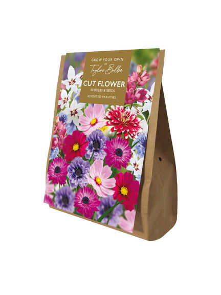 Blumenzwiebel-Geschenkset Cut Flower Collection