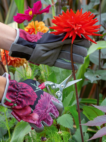 Gartenhandschuhe 'RHS British Bloom'