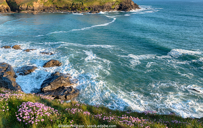 Conrwalls Küste im Frühling