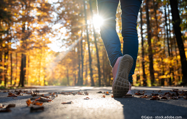 Wandern im Herbstwald