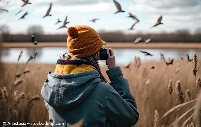 Mädchen, das Vögel fotografiert